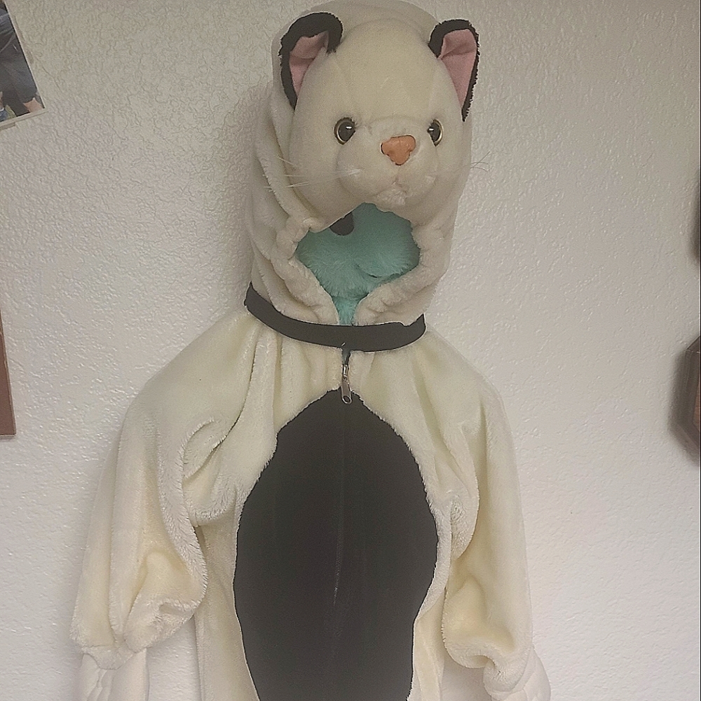 Kitty costume